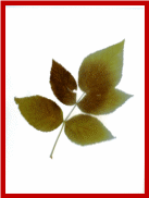 Picture 24