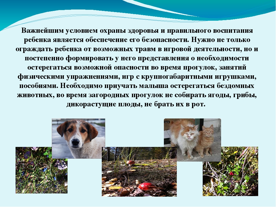 Презентация для воспитателей ДОУ