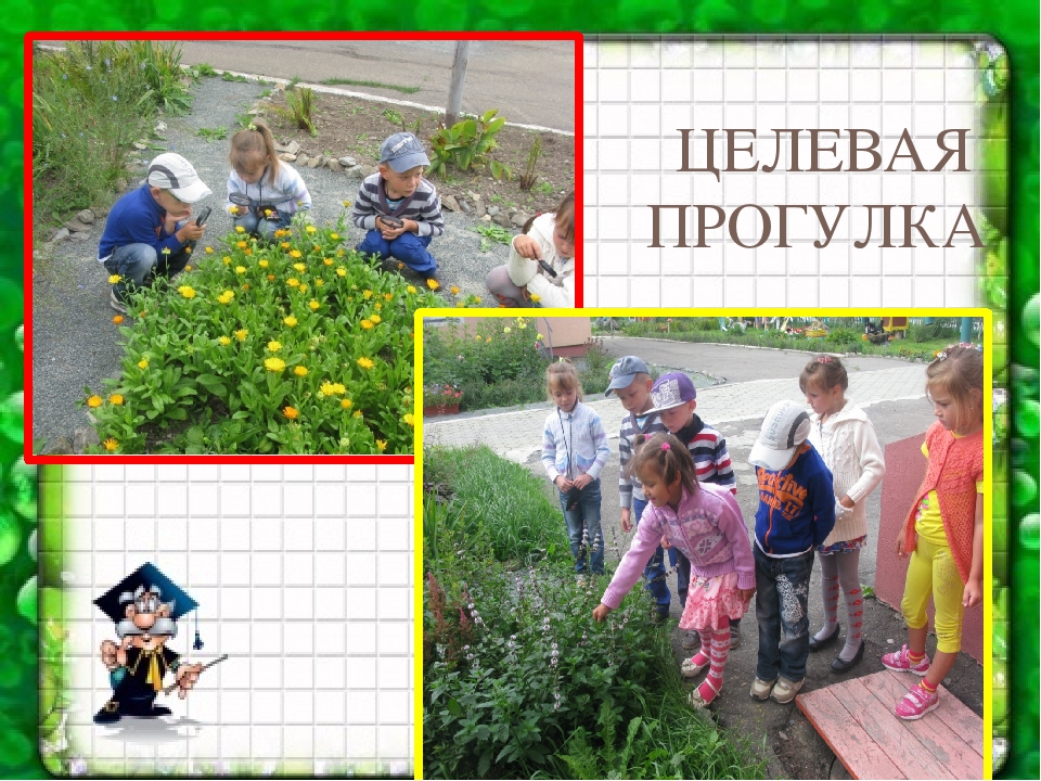 Презентация на тему «Формирование исследовательских умений дошкольников в условиях реализации ФГОС»
