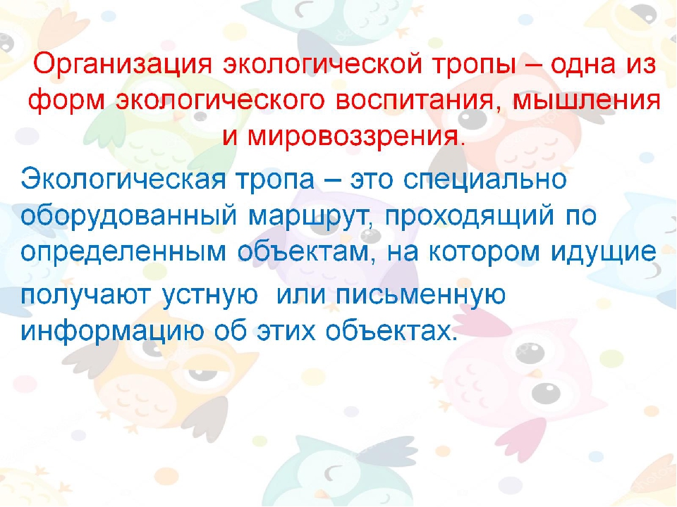 Экодизайн развивающей предметно-пространственной среды в подготовительной группе детского сада.