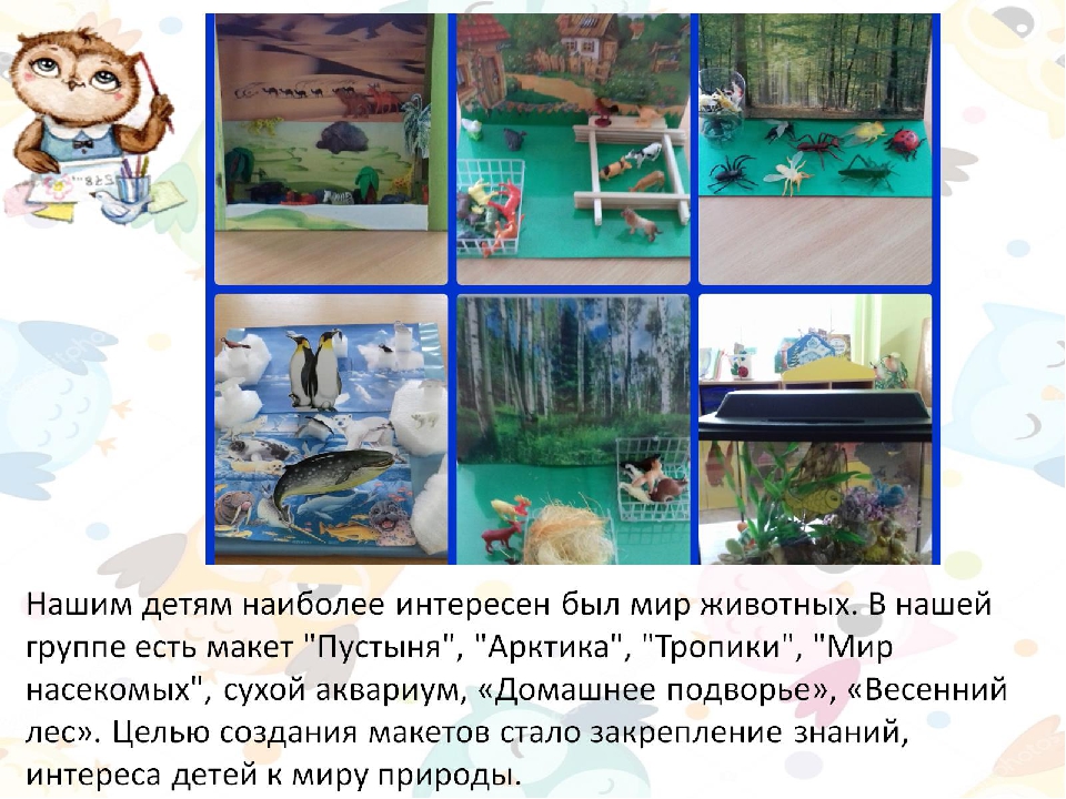 Экодизайн развивающей предметно-пространственной среды в подготовительной группе детского сада.