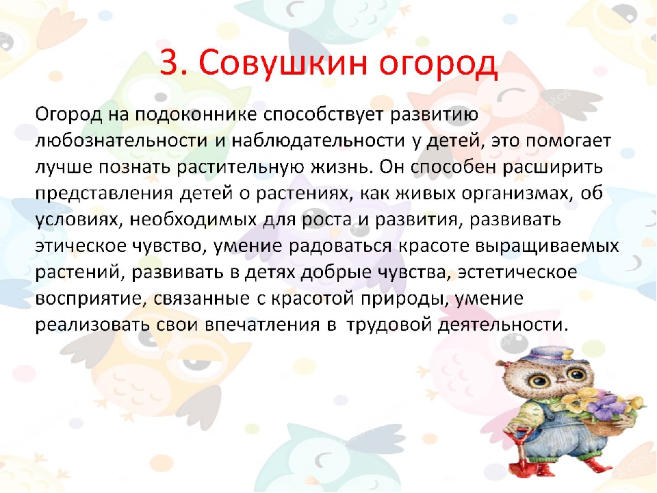 Экодизайн развивающей предметно-пространственной среды в подготовительной группе детского сада.