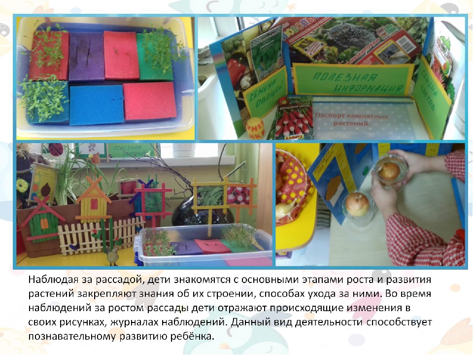 Экодизайн развивающей предметно-пространственной среды в подготовительной группе детского сада.