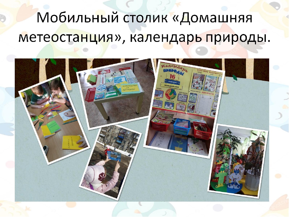 Экодизайн развивающей предметно-пространственной среды в подготовительной группе детского сада.
