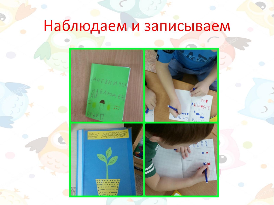 Экодизайн развивающей предметно-пространственной среды в подготовительной группе детского сада.