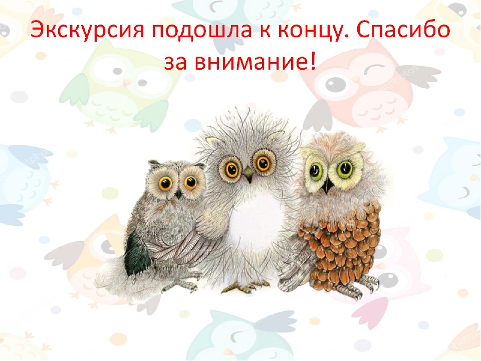 Экодизайн развивающей предметно-пространственной среды в подготовительной группе детского сада.