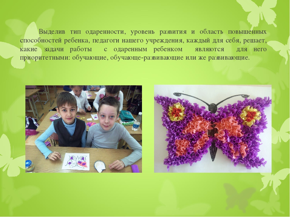 Необходимые условия для развития одаренных детей в учреждениях дополнительного образования