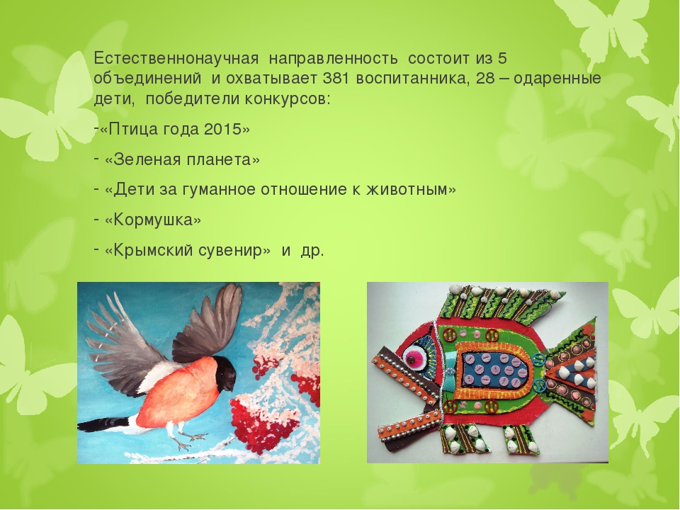 Необходимые условия для развития одаренных детей в учреждениях дополнительного образования