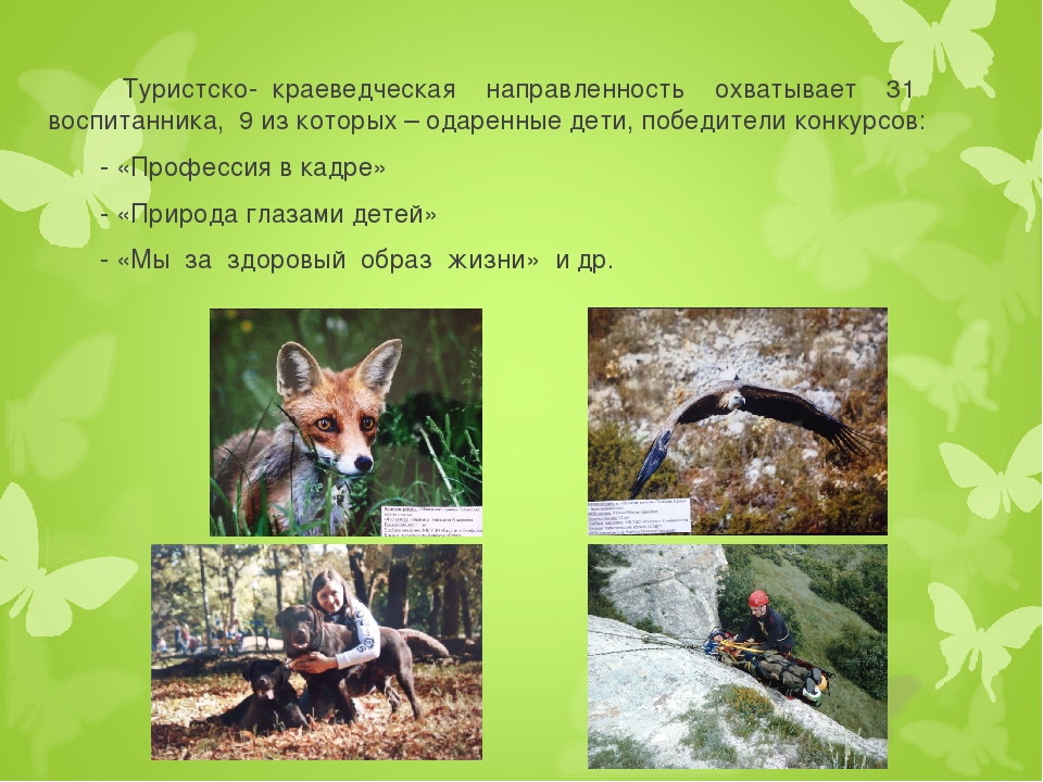 Необходимые условия для развития одаренных детей в учреждениях дополнительного образования