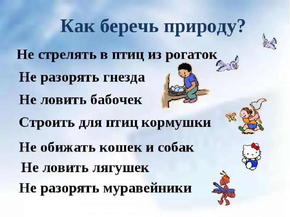 Презентация по экологическому развитию "Будь природе другом"