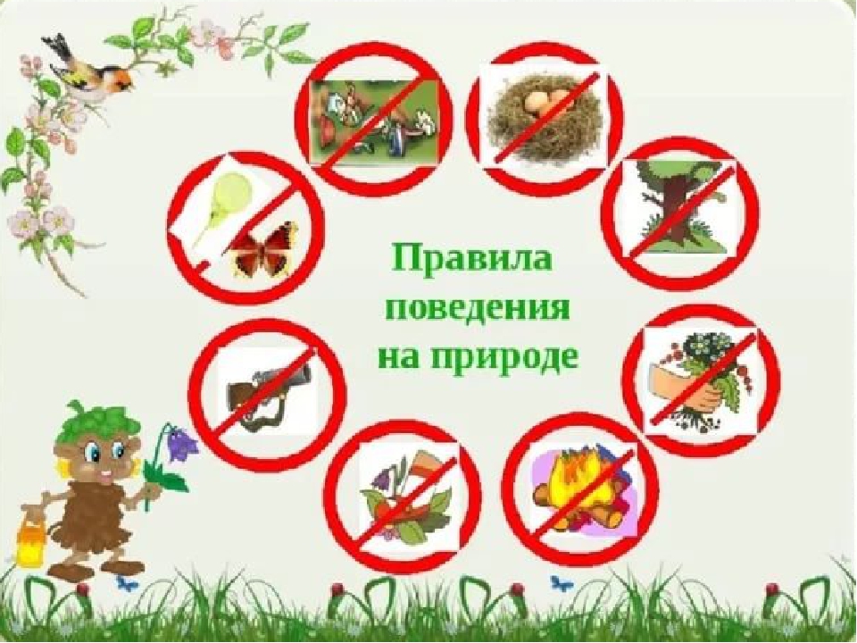 Презентация по экологическому развитию "Будь природе другом"