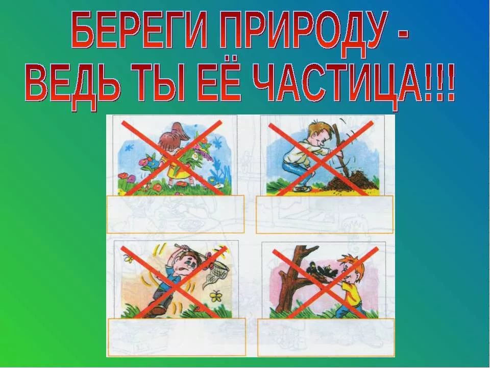 Беречь помощь. Береги природу презентация. Как нужно беречь природу. Проект береги природу. Презентация береги природу рисунки.