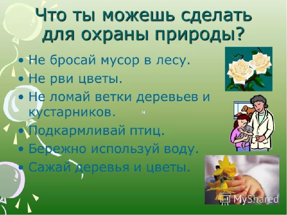 Презентация по экологическому развитию "Будь природе другом"