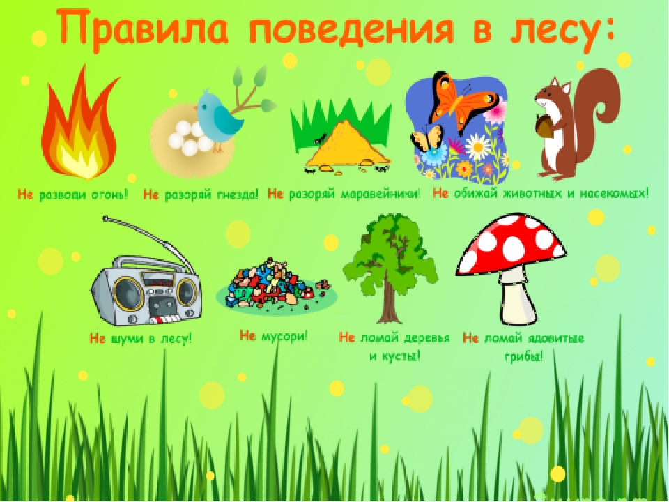 Презентация по экологическому развитию "Будь природе другом"
