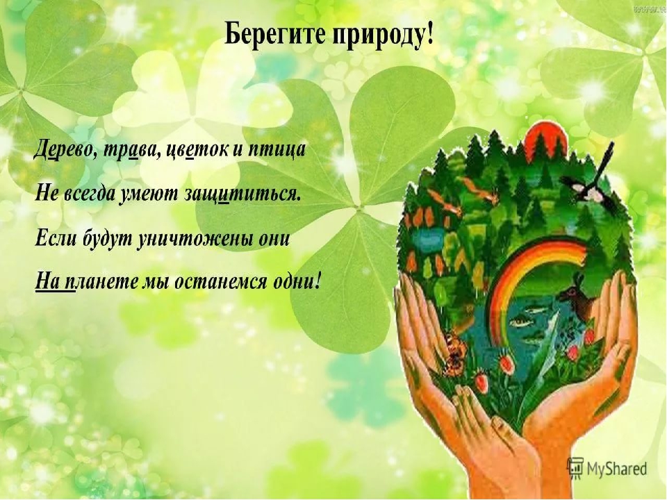 Презентация по экологическому развитию "Будь природе другом"
