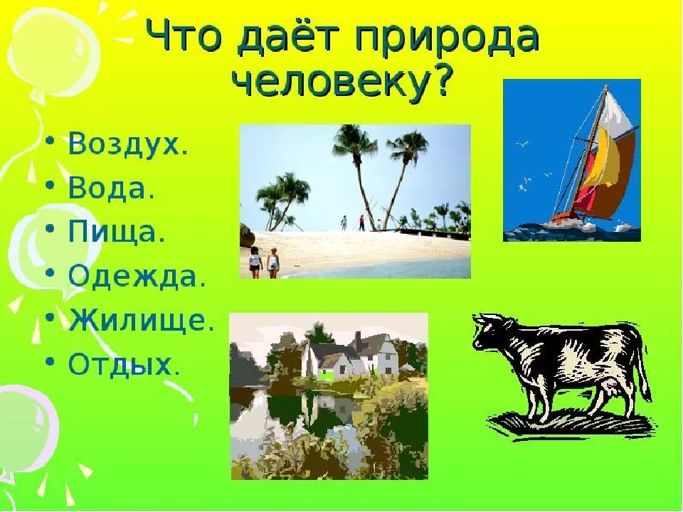 Презентация по экологическому развитию "Природу надо беречь"