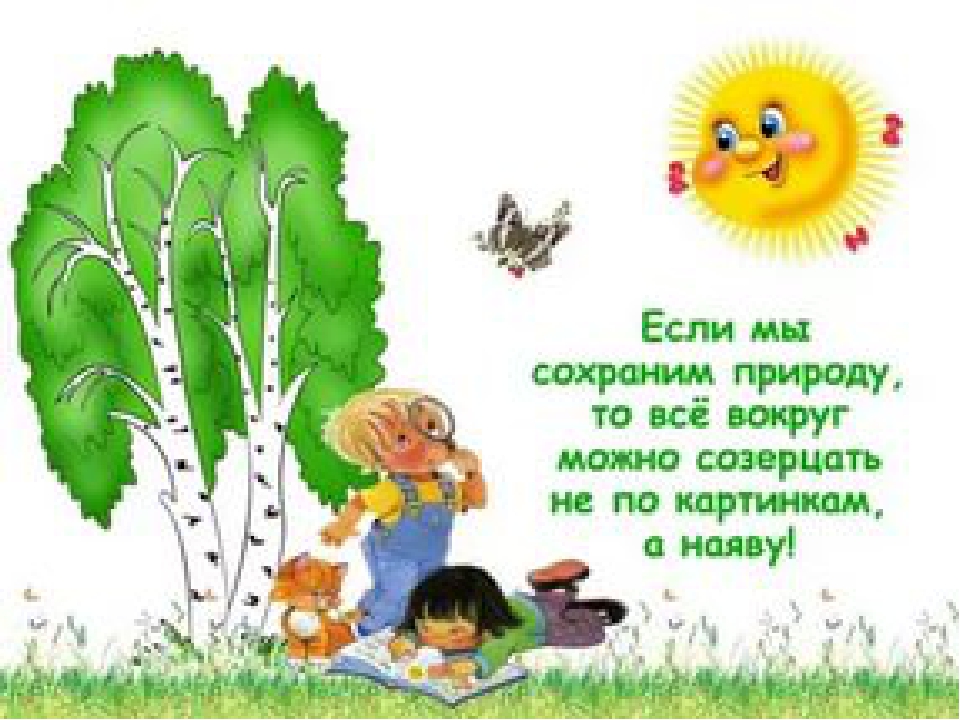 Презентация по экологическому развитию "Природу надо беречь"