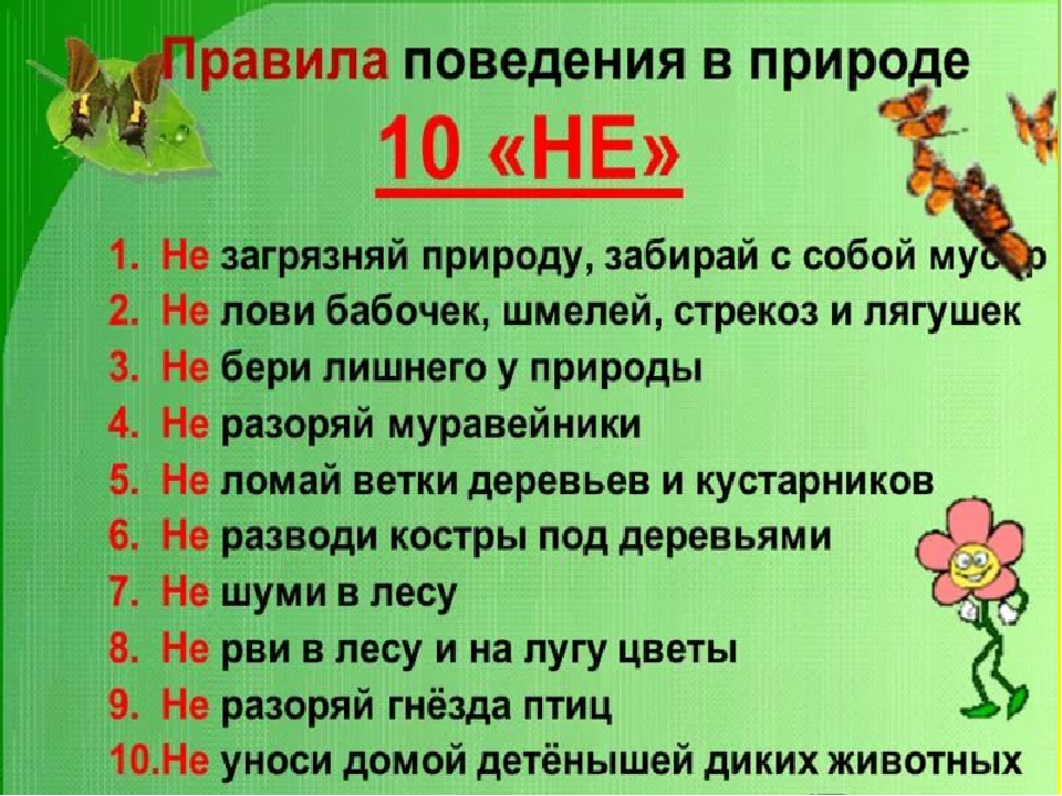 Презентация по экологическому развитию "Природу надо беречь"
