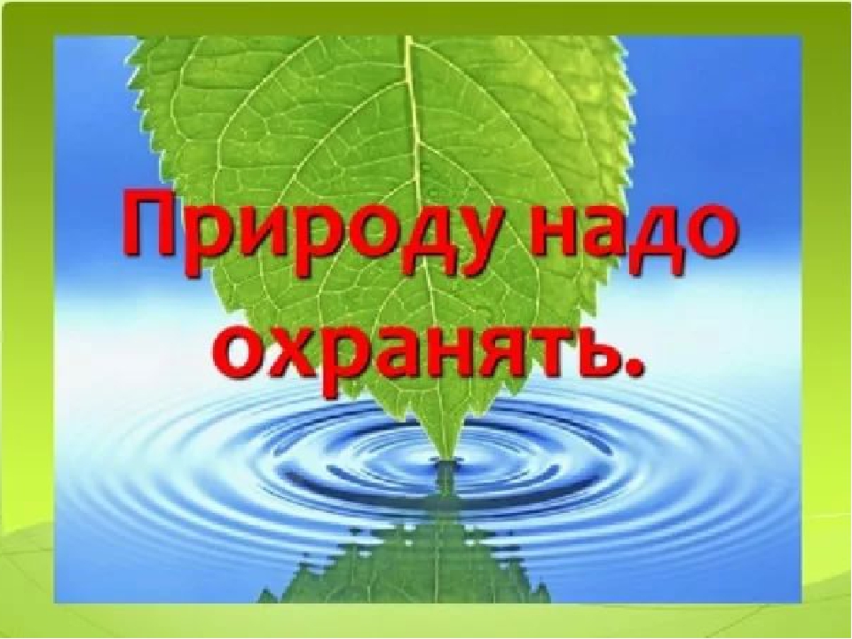 Презентация по экологическому развитию "Природу надо беречь"