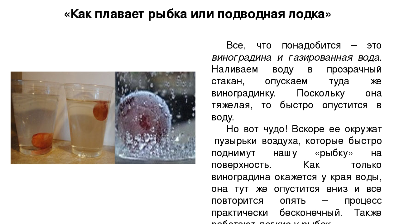 ПРЕЗЕНТАЦИЯ «Летние эксперименты в детском саду»