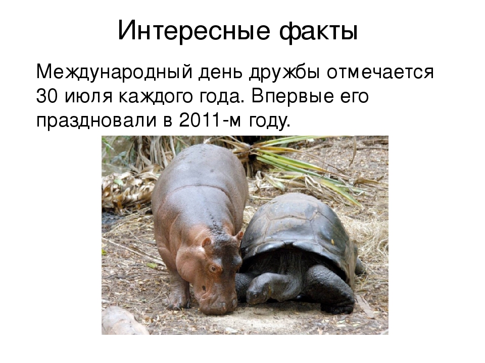ПРЕЗЕНТАЦИЯ «Лучшее слово о дружбе»