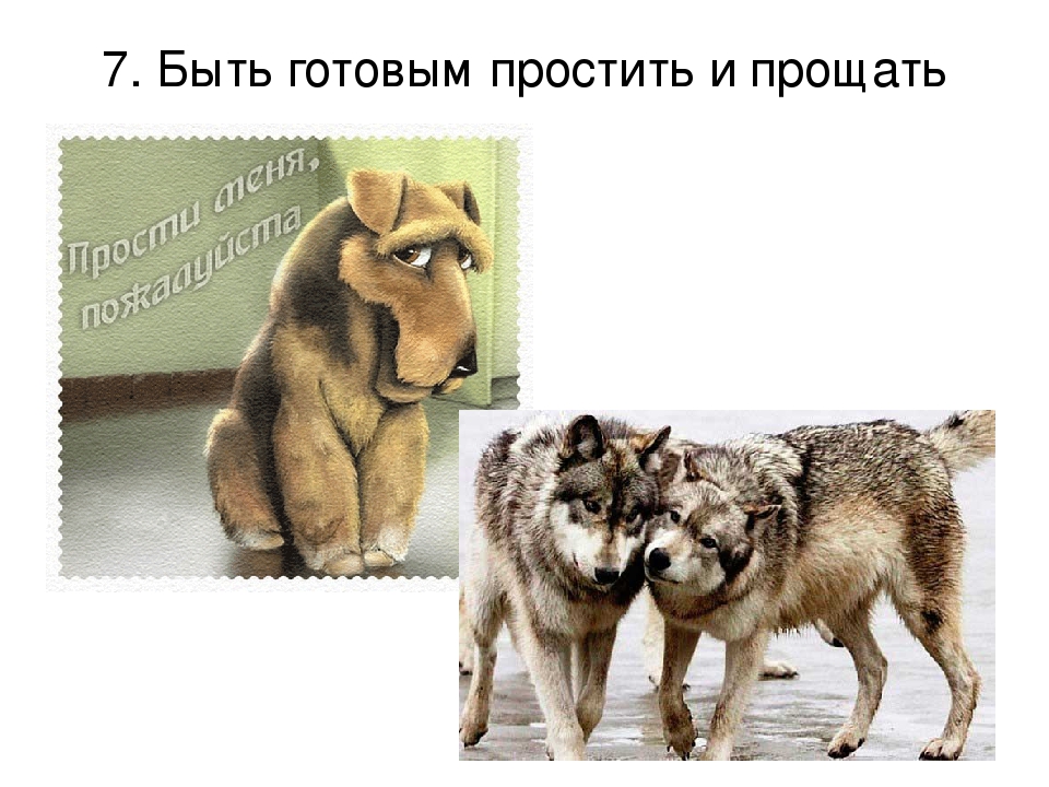 ПРЕЗЕНТАЦИЯ «Лучшее слово о дружбе»