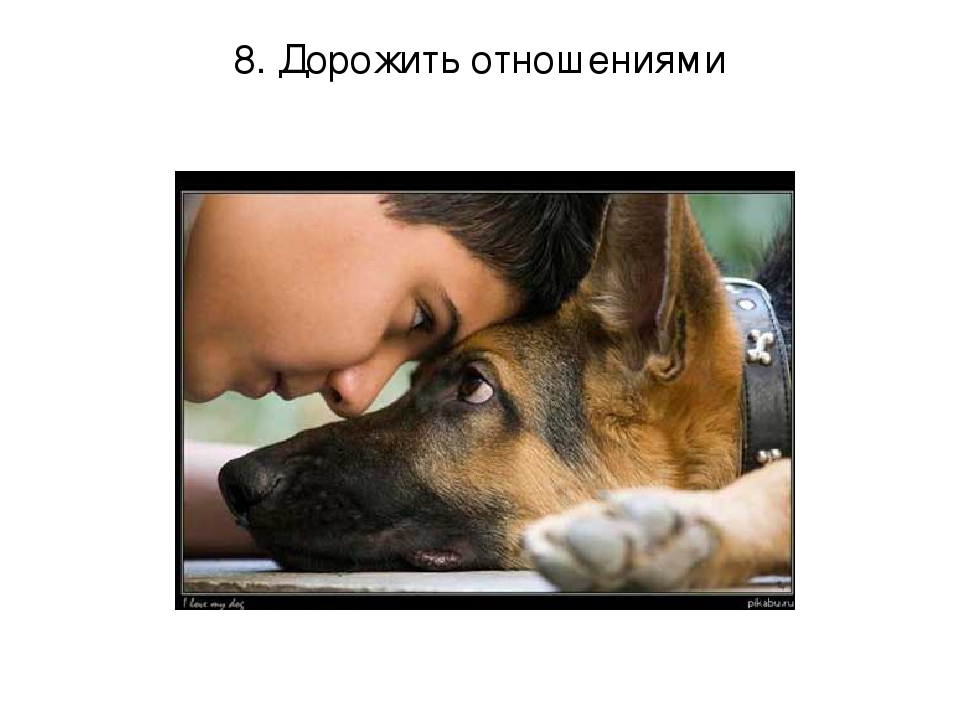 ПРЕЗЕНТАЦИЯ «Лучшее слово о дружбе»