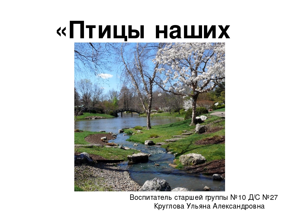 ПРЕЗЕНТАЦИЯ «Птицы наших лесов»