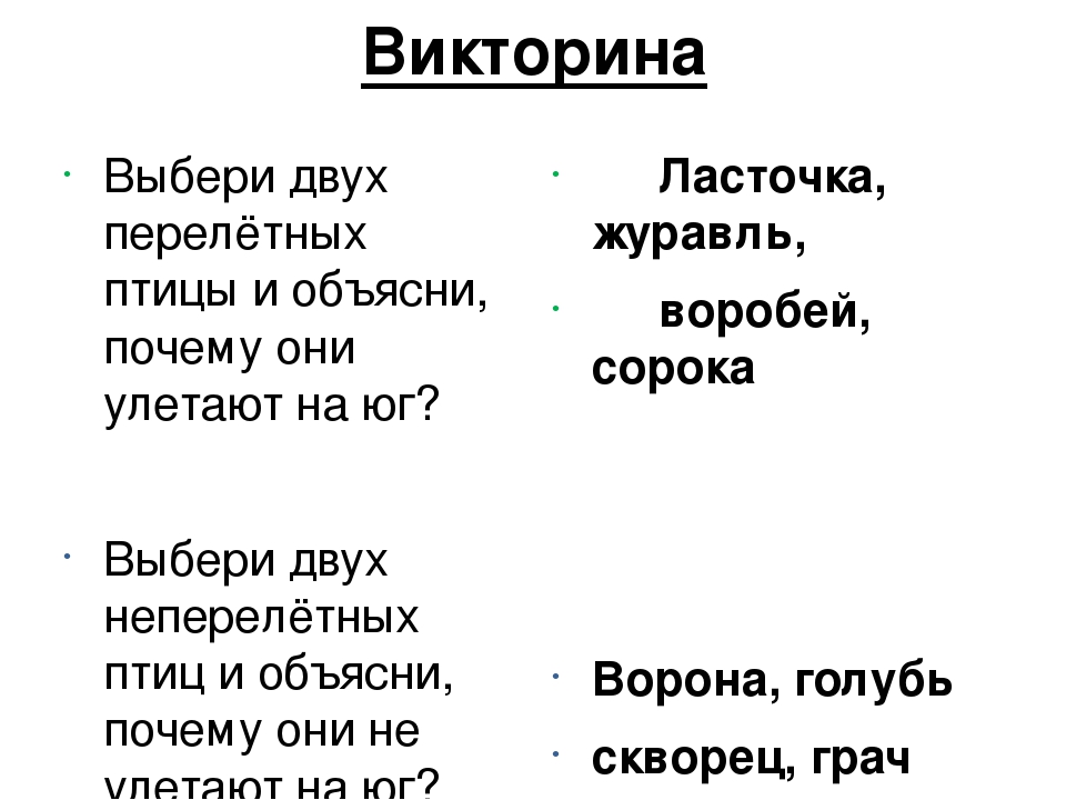ПРЕЗЕНТАЦИЯ «Птицы наших лесов»