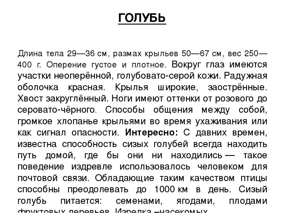ПРЕЗЕНТАЦИЯ «Птицы наших лесов»