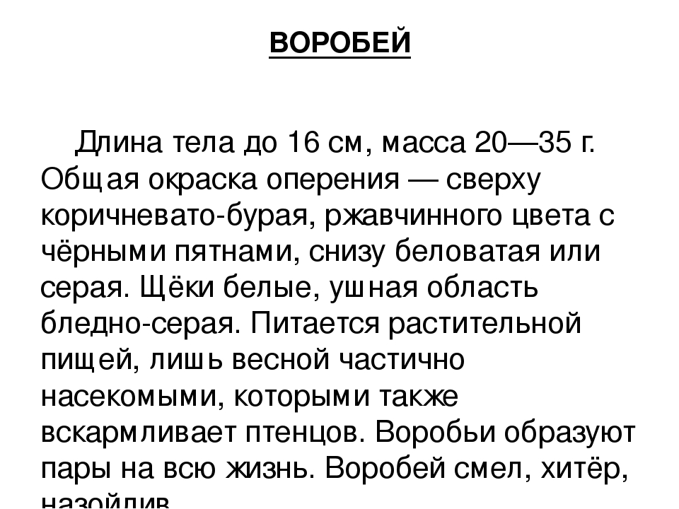 ПРЕЗЕНТАЦИЯ «Птицы наших лесов»