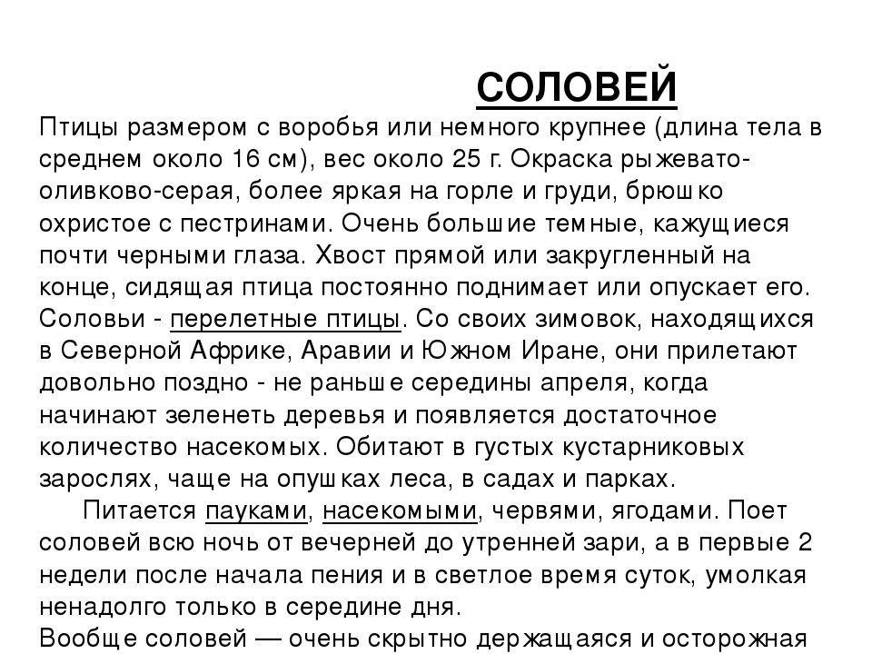 ПРЕЗЕНТАЦИЯ «Птицы наших лесов»