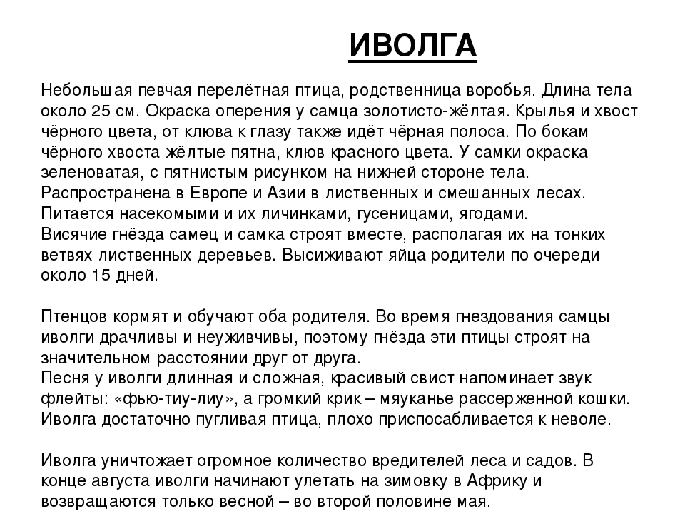 ПРЕЗЕНТАЦИЯ «Птицы наших лесов»