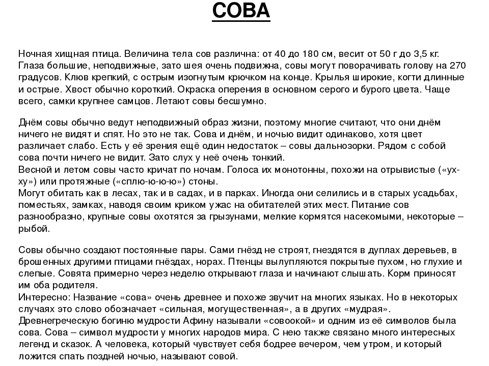 ПРЕЗЕНТАЦИЯ «Птицы наших лесов»