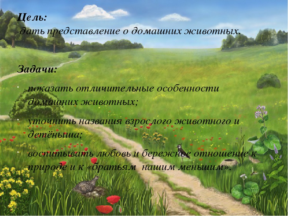 Презентация на тему " Домашние животные".