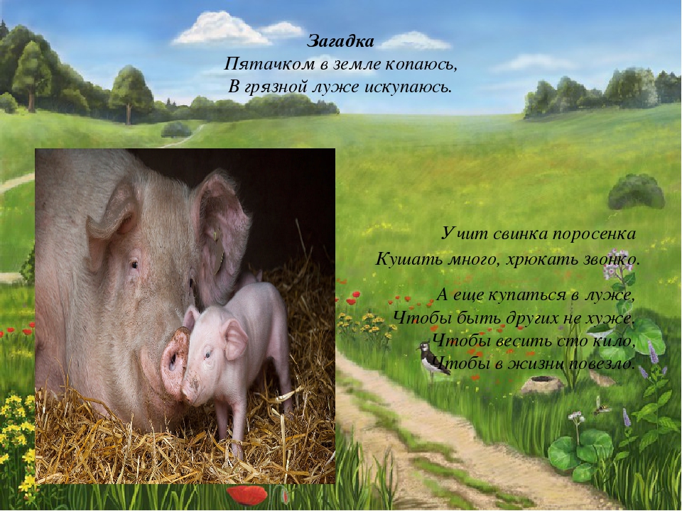 Презентация на тему " Домашние животные".