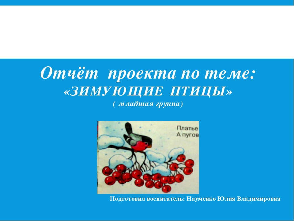 Отчёт проекта "Зимующие Птицы"