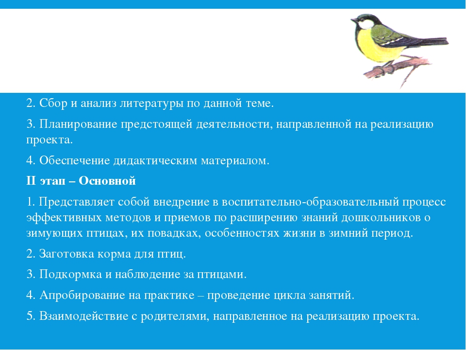 Отчёт проекта "Зимующие Птицы"