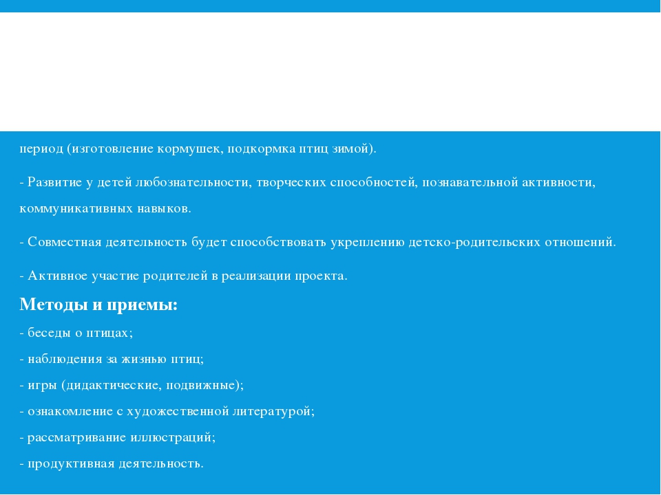 Отчёт проекта "Зимующие Птицы"