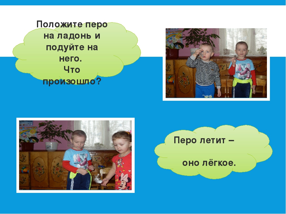 Отчёт проекта "Зимующие Птицы"