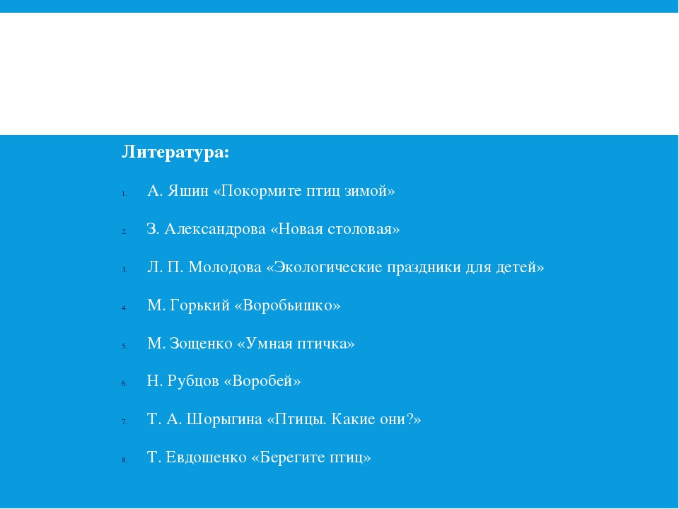 Отчёт проекта "Зимующие Птицы"