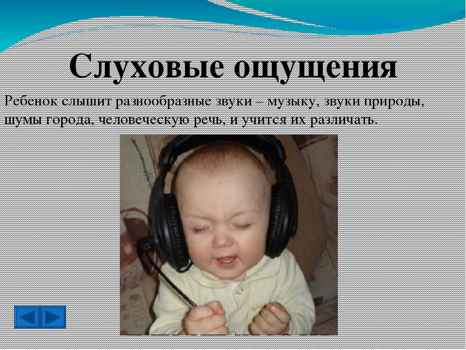 Презентация на тему "Сенсорное развитие детей младшего возраста"
