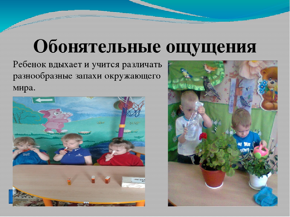 Презентация на тему "Сенсорное развитие детей младшего возраста"