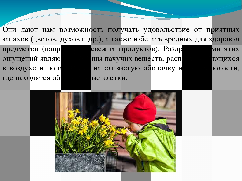 Презентация на тему "Сенсорное развитие детей младшего возраста"