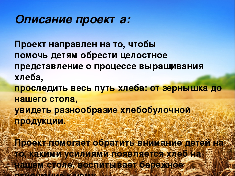 Презентация проекта "Как хлеб на стол приходит"