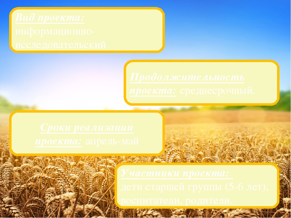 Презентация проекта "Как хлеб на стол приходит"