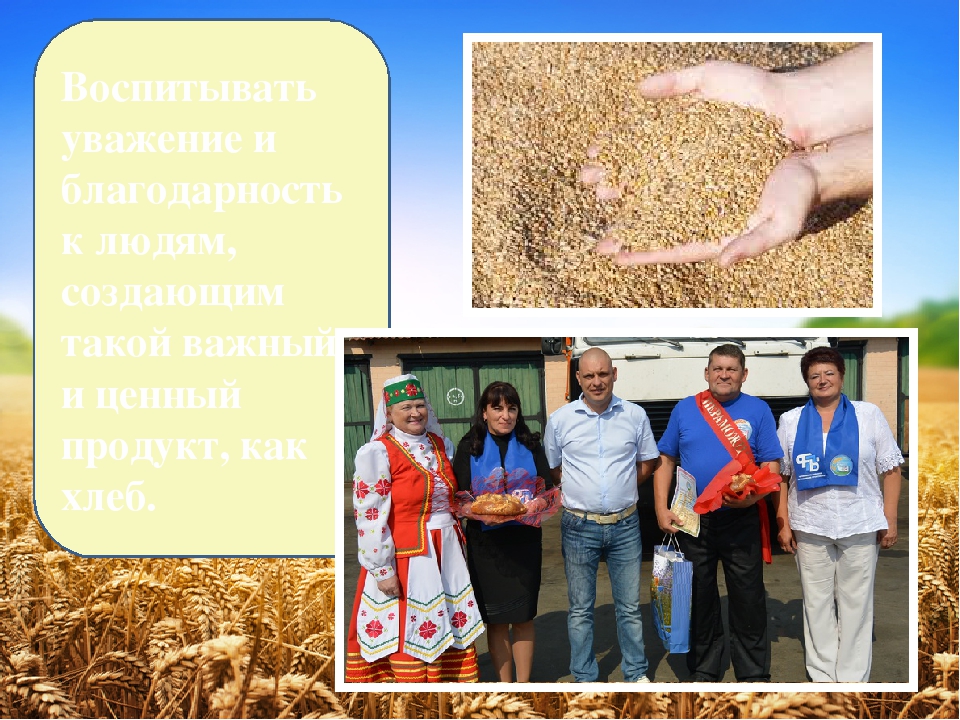 Презентация проекта "Как хлеб на стол приходит"