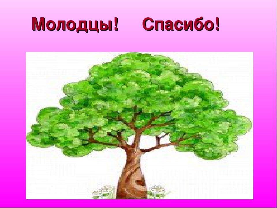 Презентация к открытому занятию. ФЭМП. Подготовительная группа