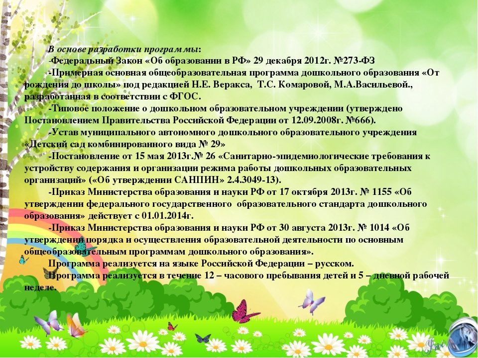 Презентация Рабочей программы возраст 2-3 лет