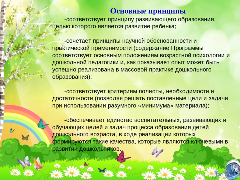 Презентация Рабочей программы возраст 2-3 лет